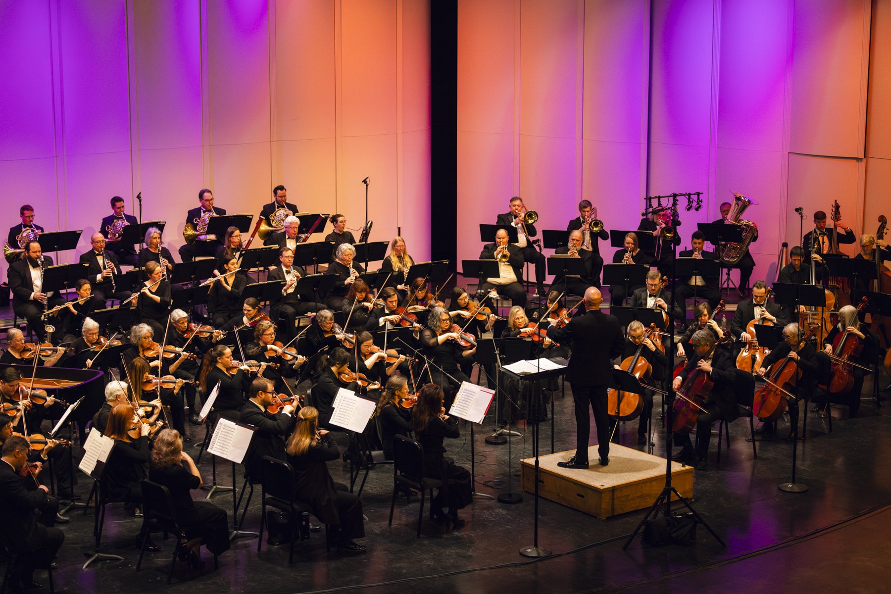 The Traverse City Philharmonic in performance